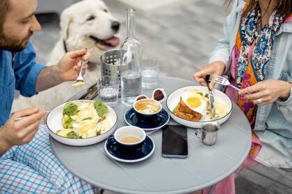 alt="10 Dubai Pet-Friendly Cafés to Cool Off With Your Dog"