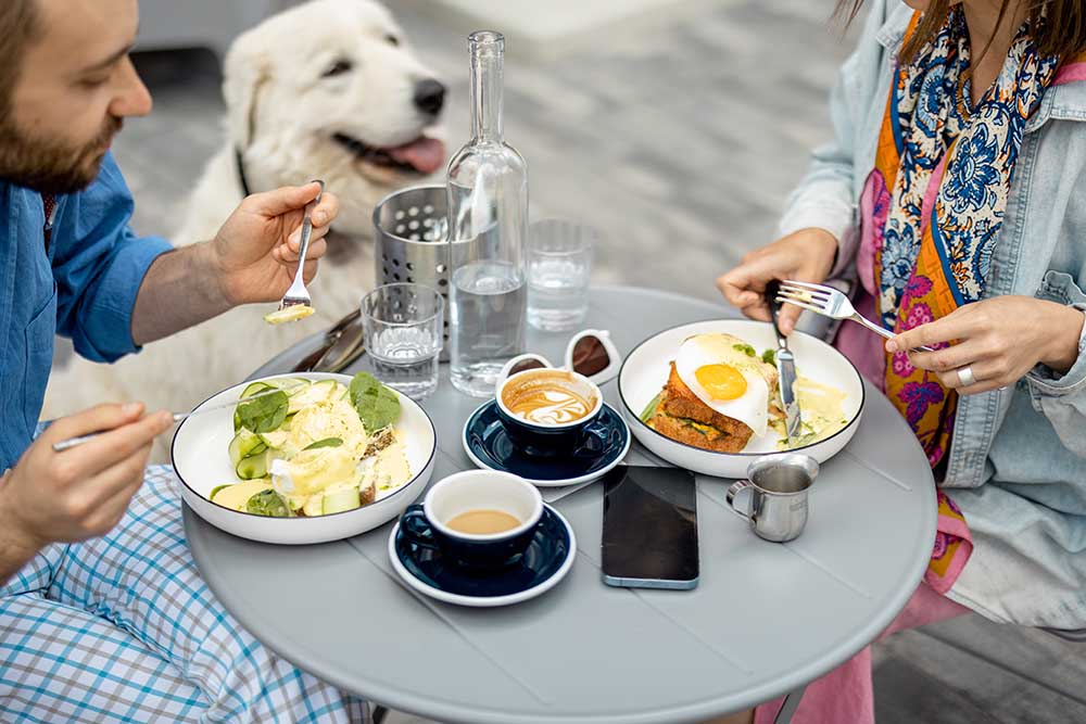 alt="10 Dubai Pet-Friendly Cafés to Cool Off With Your Dog"