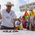 alt="Once again, Slow & Steady triumphs in the quirky snail racing championship held in a UK village"