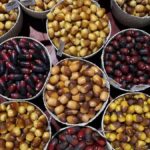 alt="The Liwa Date Festival Promotes Tradition and Gives Out Dh8.7 Million in Prizes"