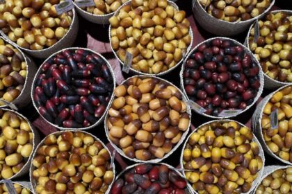 alt="The Liwa Date Festival Promotes Tradition and Gives Out Dh8.7 Million in Prizes"