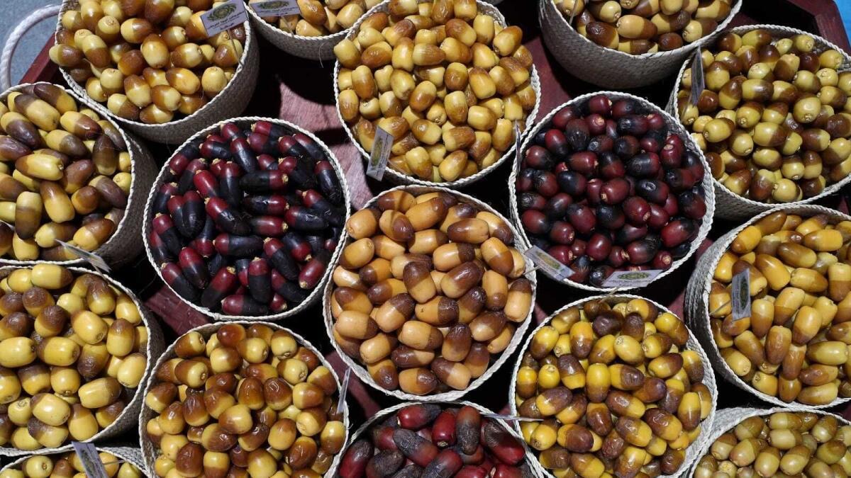 alt="The Liwa Date Festival Promotes Tradition and Gives Out Dh8.7 Million in Prizes"