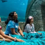 alt="Yas Island Promises Thrills, Camps, and Family Fun"