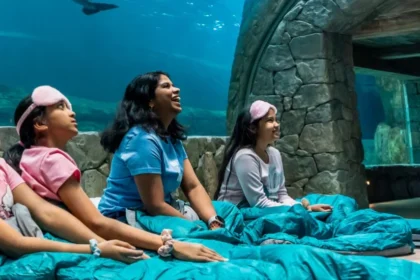 alt="Yas Island Promises Thrills, Camps, and Family Fun"