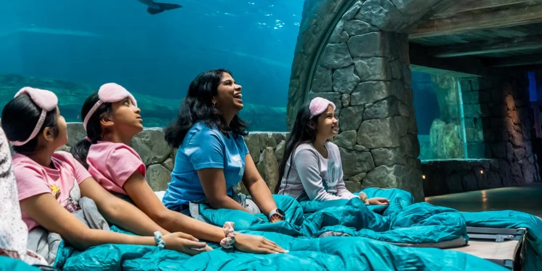alt="Yas Island Promises Thrills, Camps, and Family Fun"