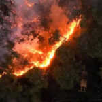 alt="Syria Wildfires Cause Explosions and Widespread Evacuations in Latakia"