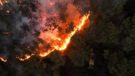 alt="Syria Wildfires Cause Explosions and Widespread Evacuations in Latakia"