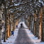 alt="snow-and-ice-ground-flights-and-choke-highways-across-europe"