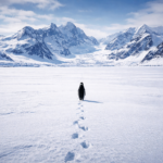 alt="the-viral-rise-of-the-nihilist-penguin-meme-explained"