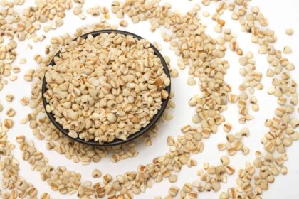 alt="adlai-rice-a-diabetic-friendly-grain-for-the-health-conscious"