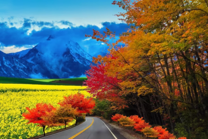 alt="marwan-sahmaranis-dubai-exhibition-explores-chaos-renewal-and-resilience-through-art"