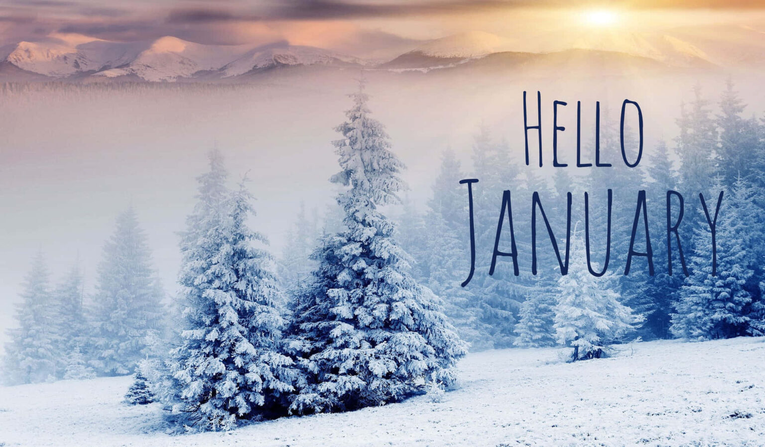 alt="january-felt-endless-this-year-and-you-are-not-alone"