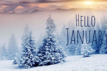 alt="january-felt-endless-this-year-and-you-are-not-alone"