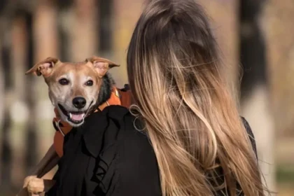 alt="how-an-indian-womans-love-for-her-senior-dog-in-dubai-sparked-hope-for-fellow-caregivers"