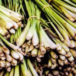 alt="lemongrass-explained-good-for-gut-health-cancer-research-and-stress-relief"