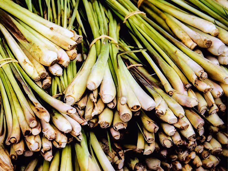 alt="lemongrass-explained-good-for-gut-health-cancer-research-and-stress-relief"